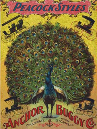 Peacock Style Carriages Poster