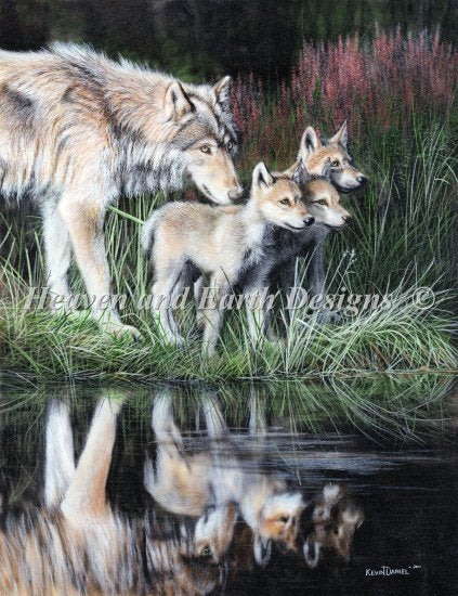 Mini Reflections