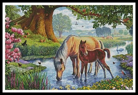 Fell Ponies  (Steve Crisp)