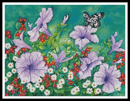 Purple Petunias  (Val Stokes)