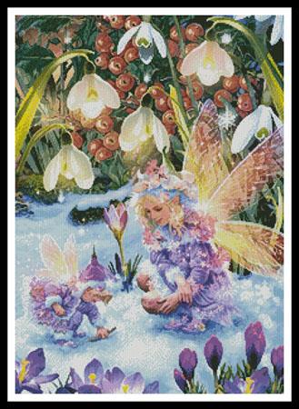 Winter Fairies  (Steve Read)