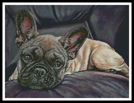 Stella  (Lisa Ann Watkins)