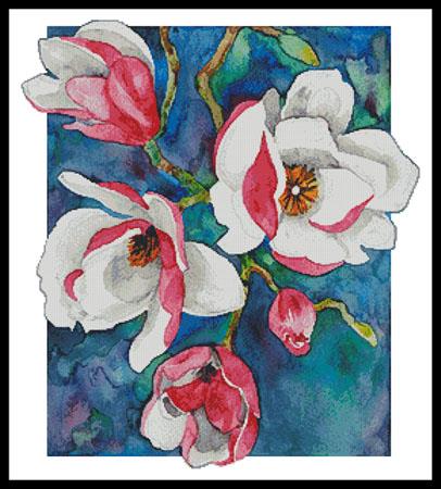 Magnificent Magnolias 2  (Val Stokes)