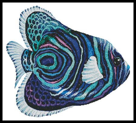 Green Blue Purple Fish  (Olga and Alexey Drozdov)