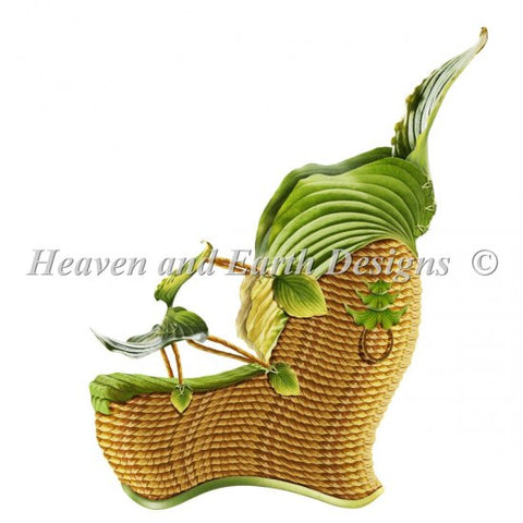 Feng Shoe