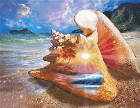 Seashells By The Seashore