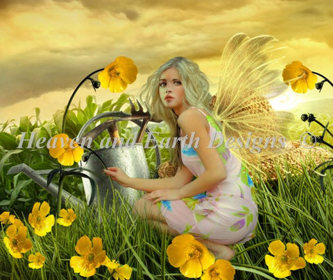 Poppy