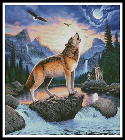 Midnight Call - Cushion  (Chris Hiett)