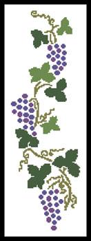 Grapes  (Joni Prittie)
