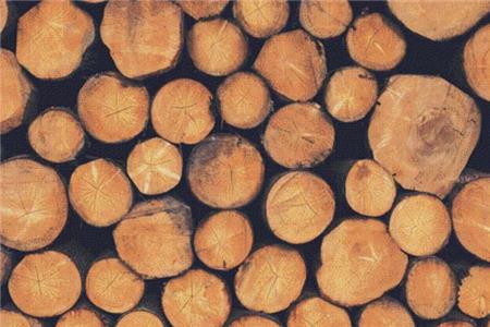 Logs