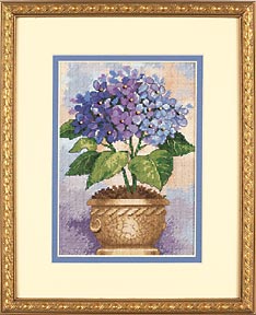 Hydrangea in Bloom