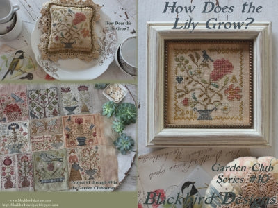 How Does The Lily Grow - Garden Club 10