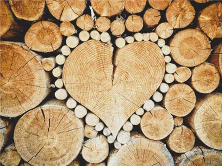 Wood Pile