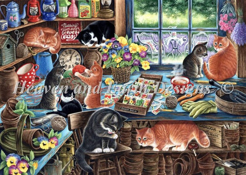 In The Garden Shed