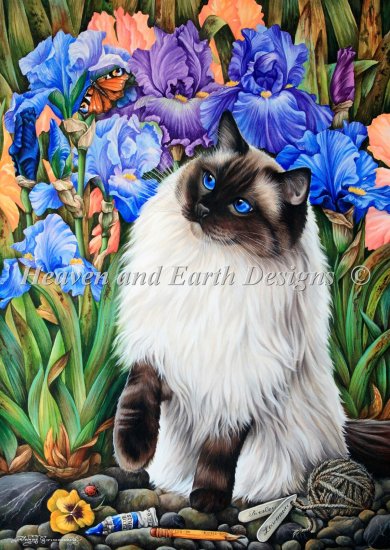Amongst The Irises