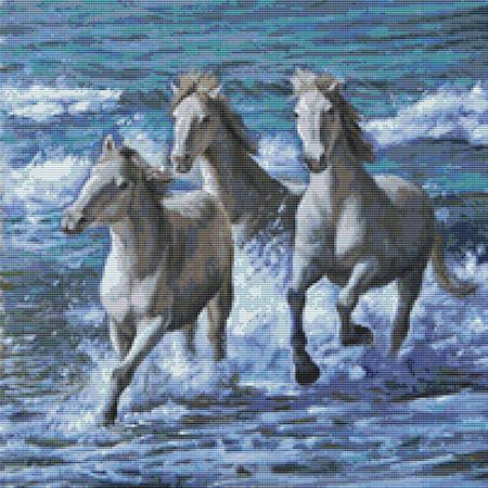 Wild and Free Horses