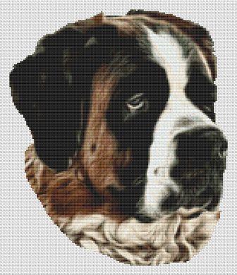 Saint Bernard Grace