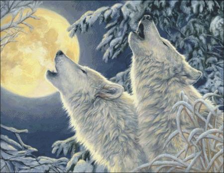 Moonlight
