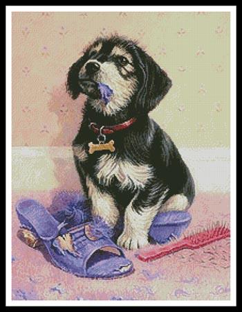 Sorry  (Kevin Walsh)