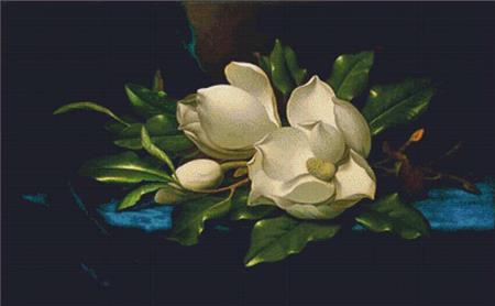 Giant Magnolias On A Blue Velvet Cloth