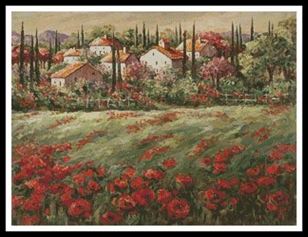 Summer Fields  (Daniella Foletto)