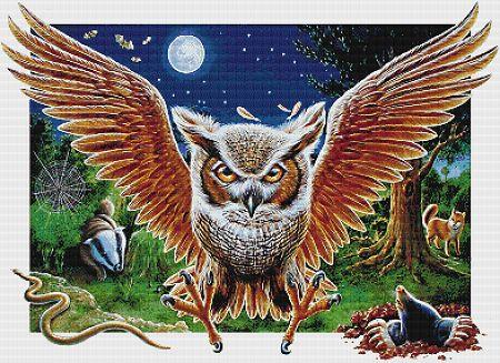 Screech Owl