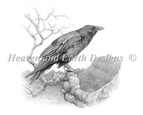 Raven