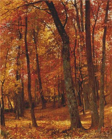 Forest Interior