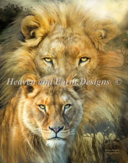 Mini African Royalty