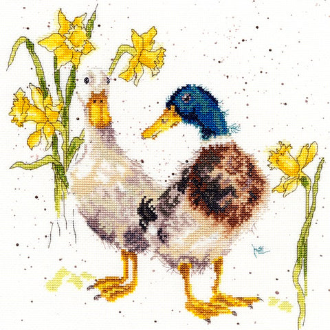 Ducks and Daffs - Hannah Dale