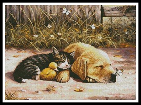 Sleepy Days  (Kevin Walsh)