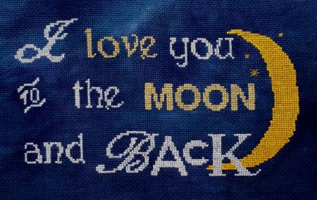 To The Moon And Back