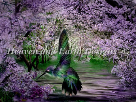 Spring Hummer