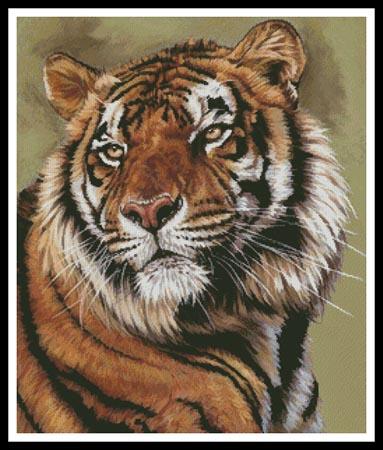 Power And Grace  (Barbara Keith)