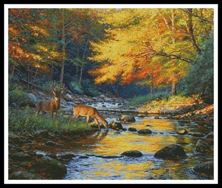 Quiet Encounter  (Mark Keathley)