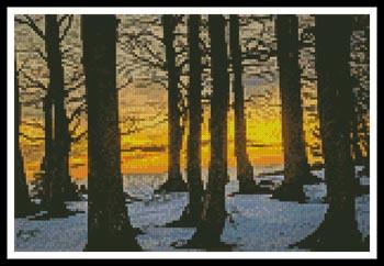 Mini Black Forest  (Hermann Schmider)