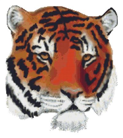 Katies Tiger