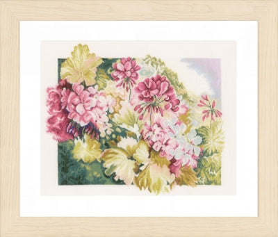 Geraniums