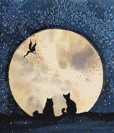 Magical Moonlight Moment