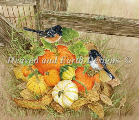 Pumpkins and Towhees
