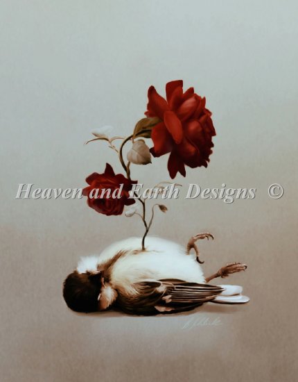 Soul Bird