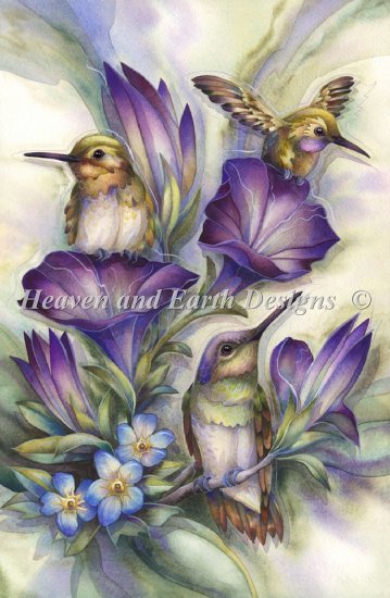 Flower Hummingbirds