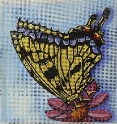 Yellow/Blue/Black Butterfly