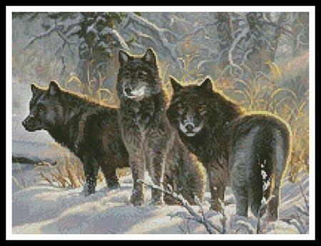Three Amigos (Cropped)  (Mark Keathley)