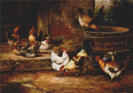 Barnyard Fowl