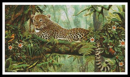 Solitary Hunter  (John Enright)