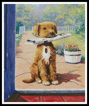 Newsboy, The  (Kevin Walsh)