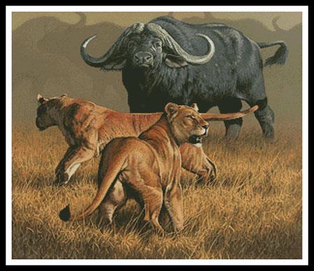 Standoff  (Fuz Caforio)