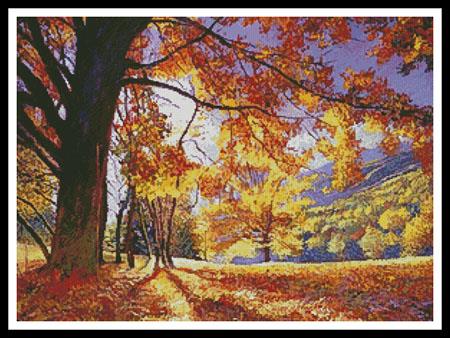 Sunlight Through The Trees  (David Lloyd Glover)