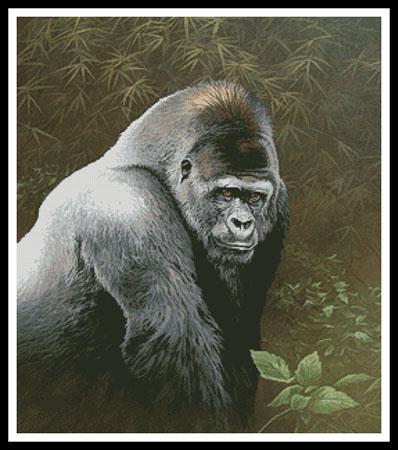 Great Ape  (Fuz Caforio)